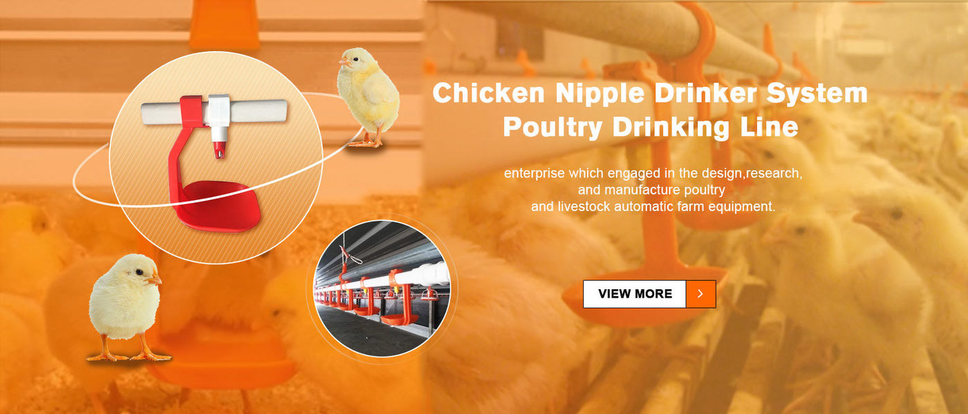 Cina terbaik Sistem Peminum Puting Ayam penjualan