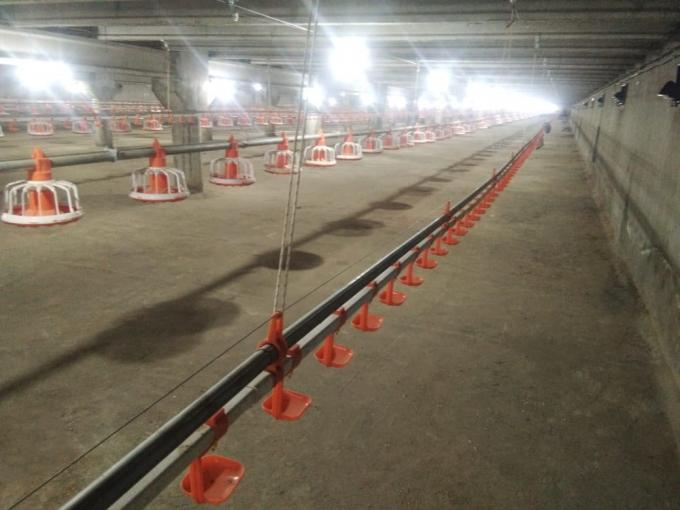 Automatic poultry watering water system for chicken broilers layers quail farm