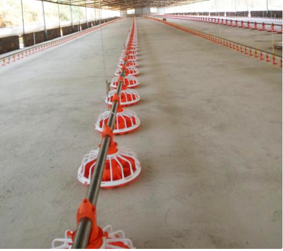 Sistem Auger Pakan Ayam Sepenuhnya Otomatis Pengumpan Auger Unggas Untuk Peternakan 0