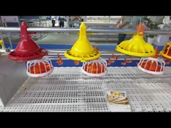 Sistem Pemberian Makan Unggas Otomatis