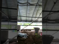 Peralatan Pengumpan Peternakan Ayam Otomatis Disesuaikan Tegangan Dapat Disesuaikan