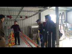 Bebek angsa minum sistem penyiraman air peminum Nipple Waterer untuk peternakan unggas unggas